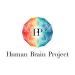 simulación del cerebro humano